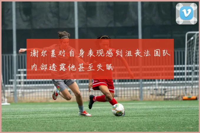 谢尔基对自身表现感到沮丧法国队内部透露他甚至失眠