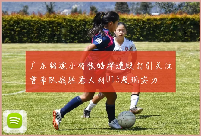广东铭途小将张皓烨遭殴打引关注曾率队战胜意大利U15展现实力