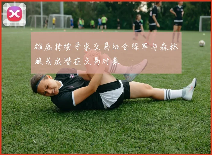 雄鹿持续寻求交易机会绿军与森林狼或成潜在交易对象