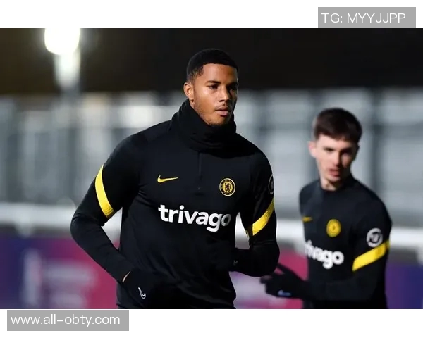 斯基拉报道维罗纳计划租借巴尔丹齐并进行买断谈判